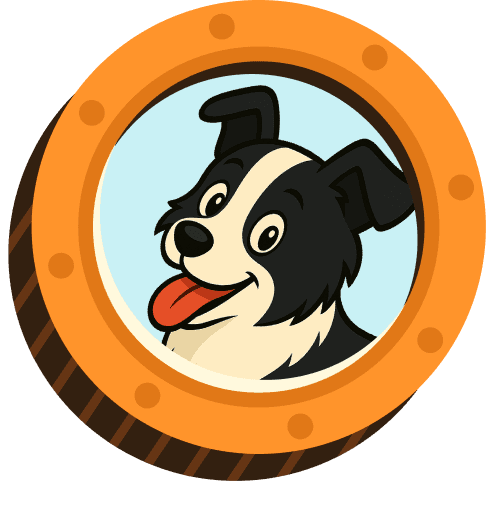 Token Information Illustration